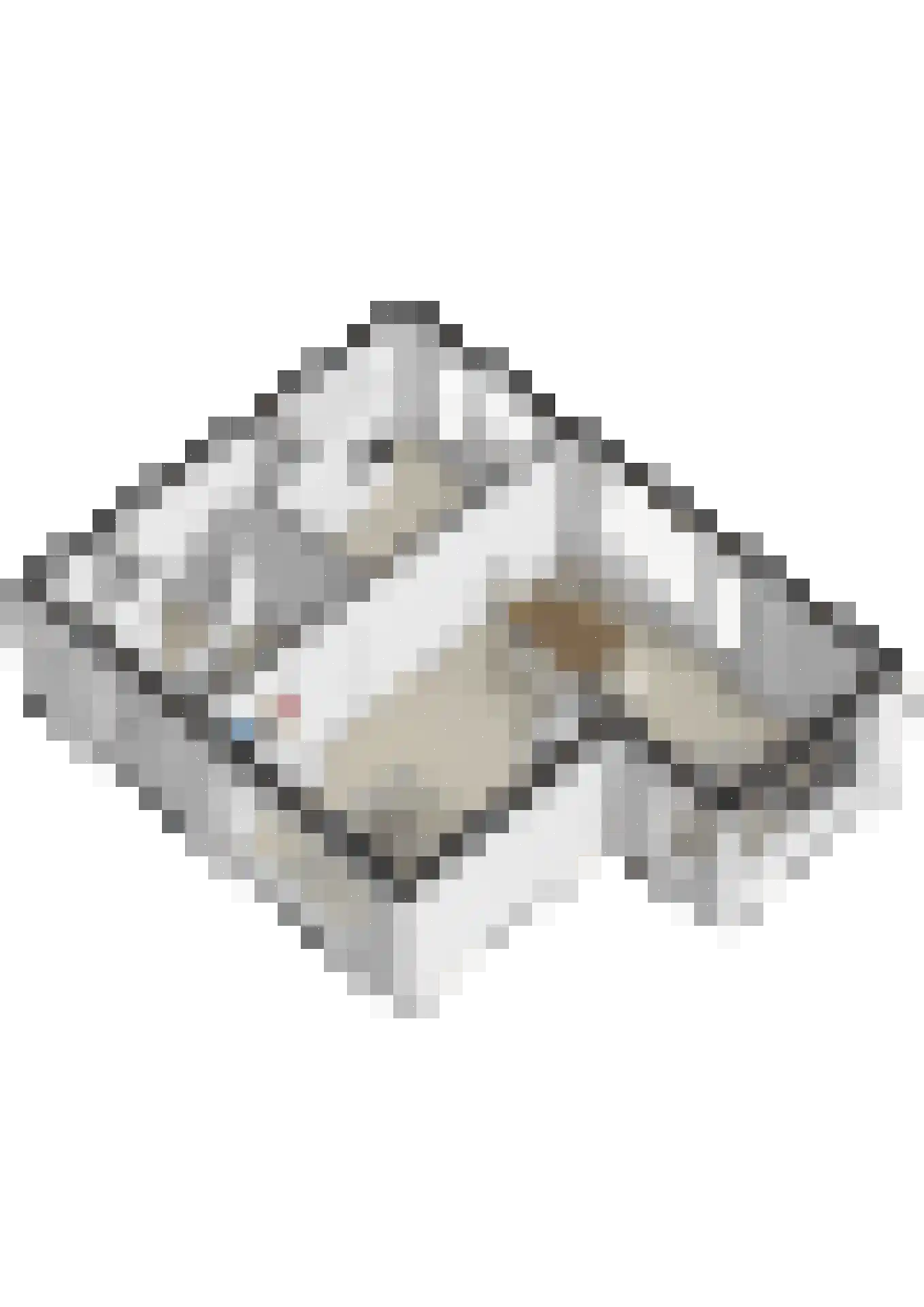 Gasthuislaan 83 Velp thumbnail 64