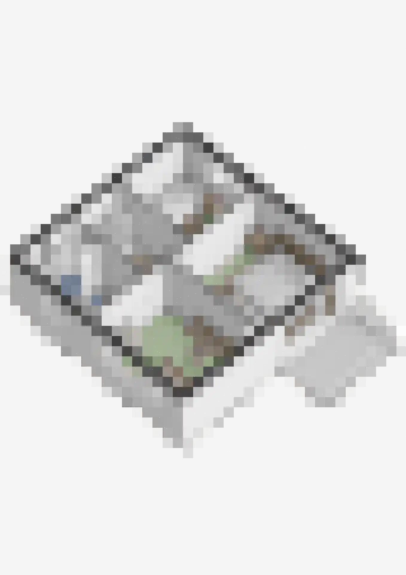 Gasthuislaan 83 Velp thumbnail 67