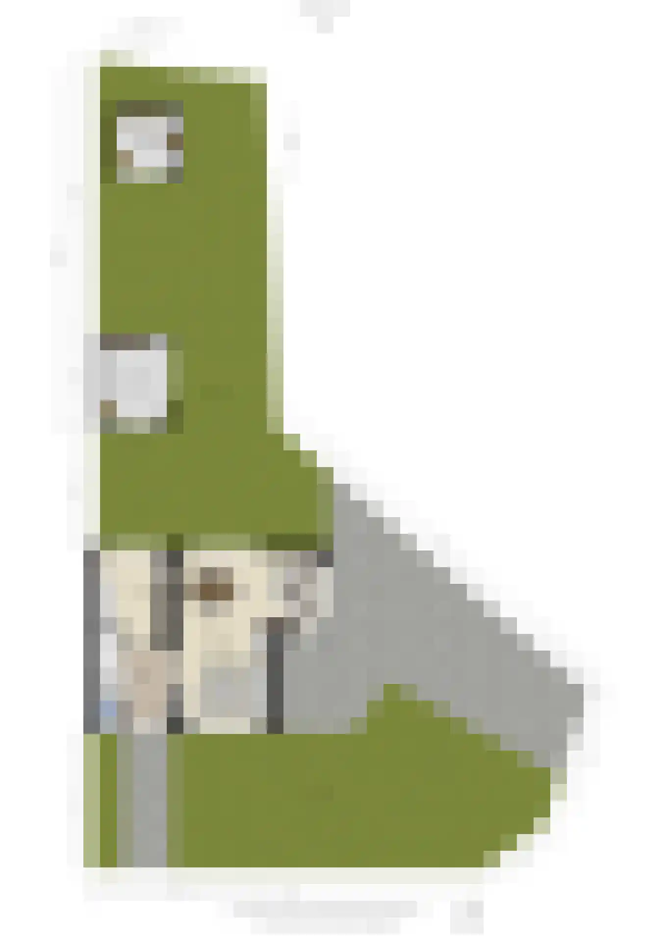 Gasthuislaan 83 Velp thumbnail 72