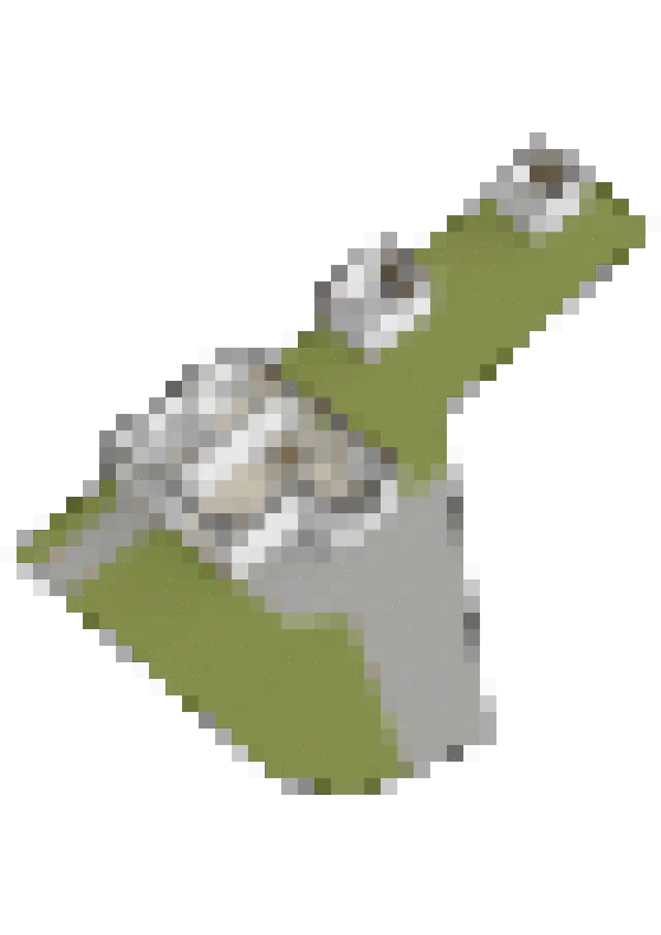 Gasthuislaan 83 Velp thumbnail 73