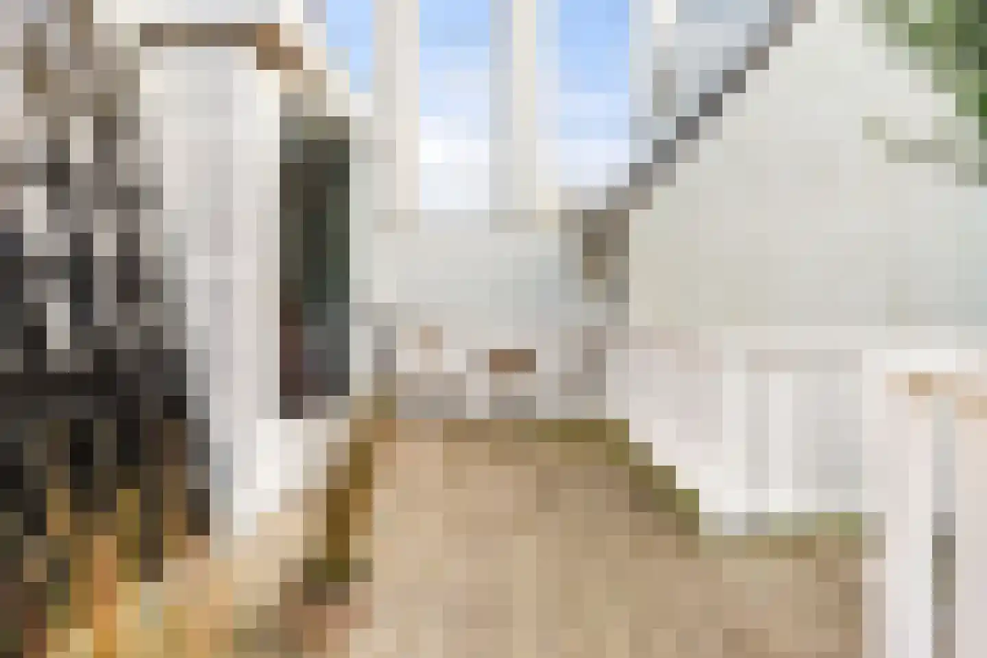 Gasthuisplein 3 d Zandvoort thumbnail 18