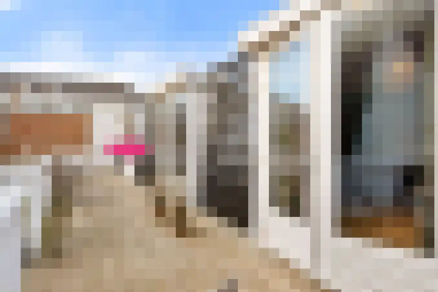 Gasthuisplein 3 e Zandvoort thumbnail 16