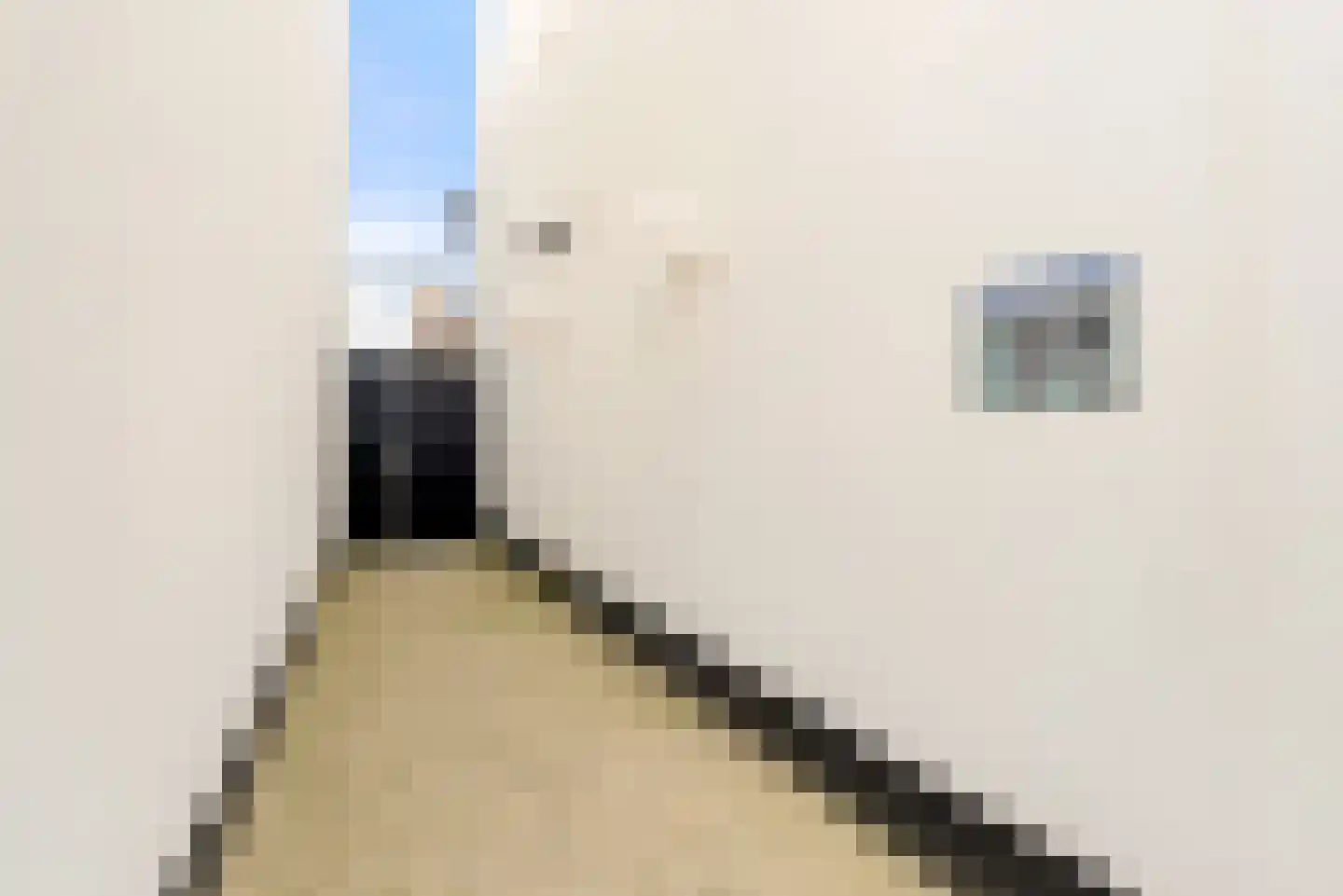 Gasthuisplein 3 e Zandvoort thumbnail 23