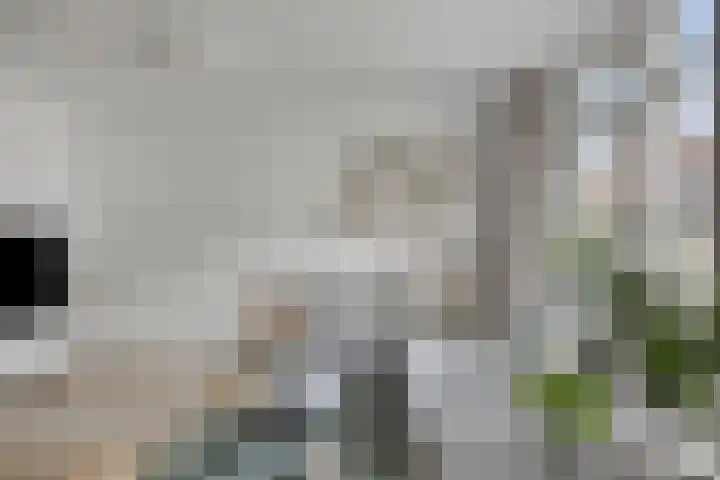 Gasthuisring 1 12 Tilburg thumbnail 14