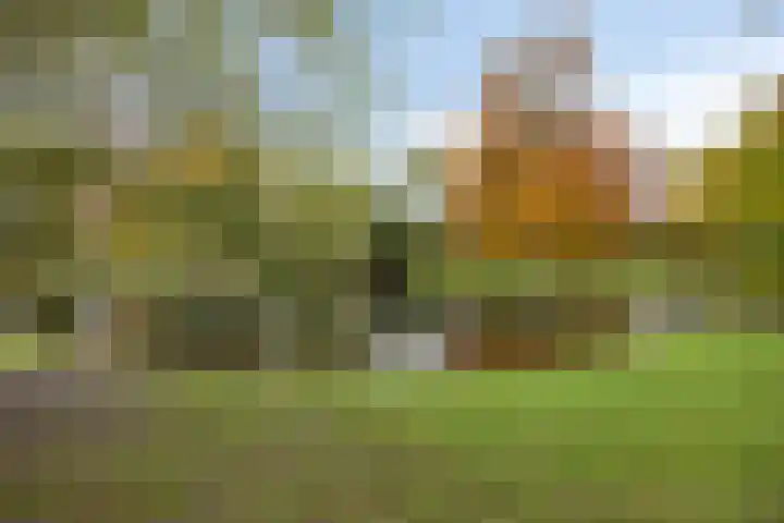 Gasthuisring 1 12 Tilburg thumbnail 29