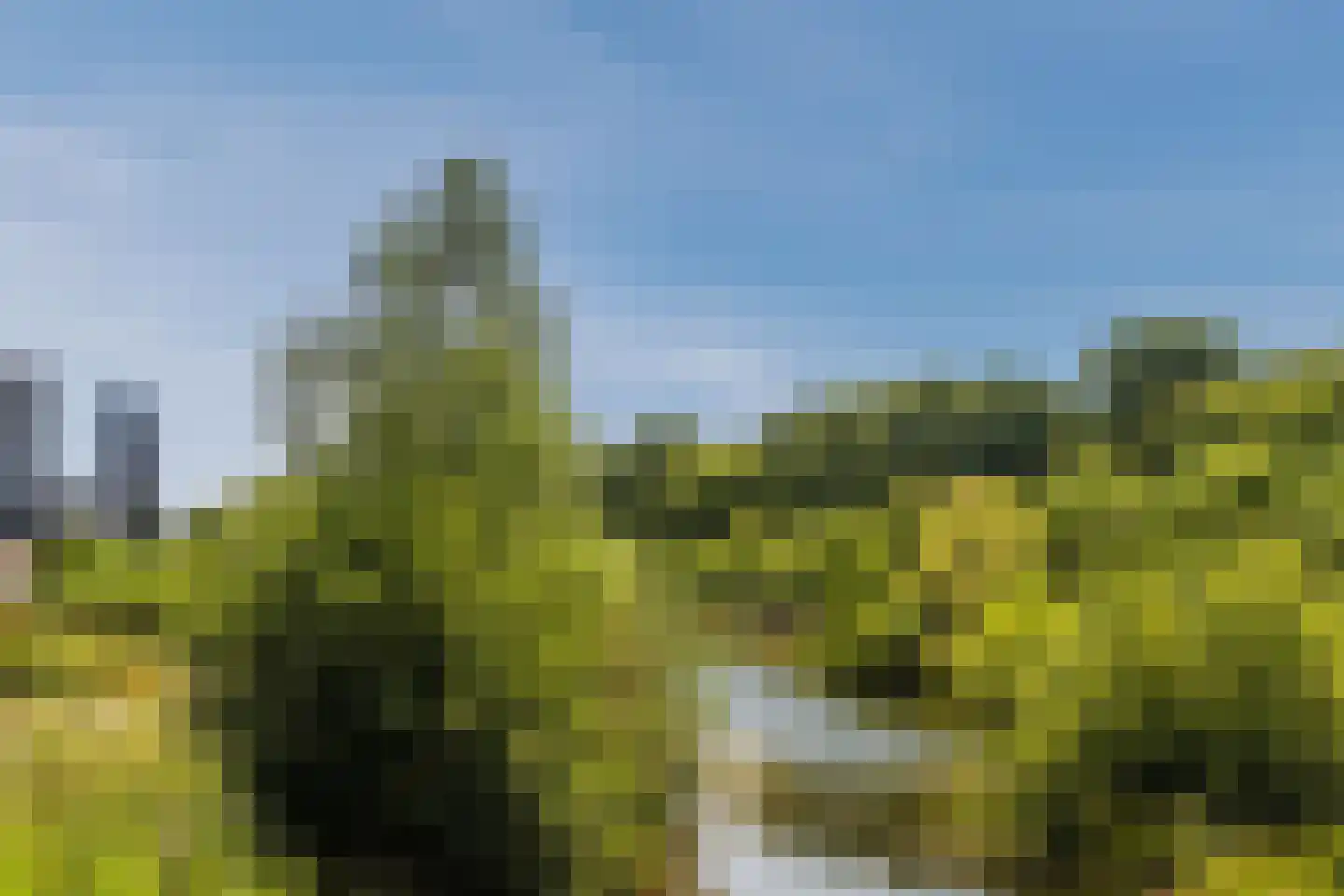 Gasthuisring 19 c Tilburg thumbnail 30