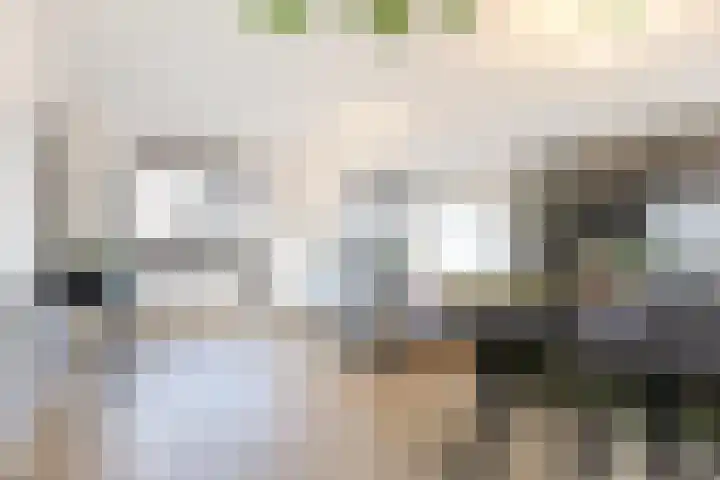 Gasthuisring 19 d Tilburg thumbnail 11