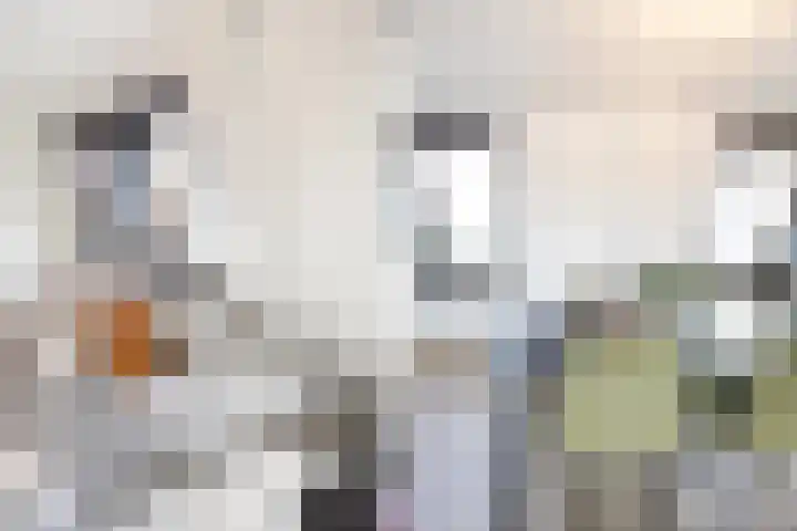 Gasthuisring 19 d Tilburg thumbnail 12
