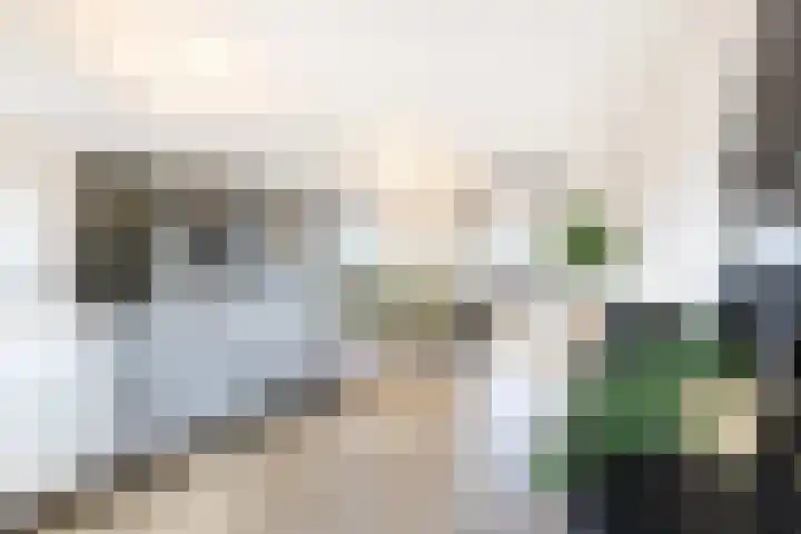 Gasthuisring 19 d Tilburg thumbnail 16