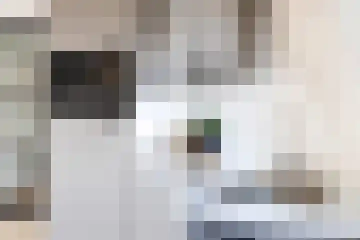 Gasthuisring 19 d Tilburg thumbnail 21