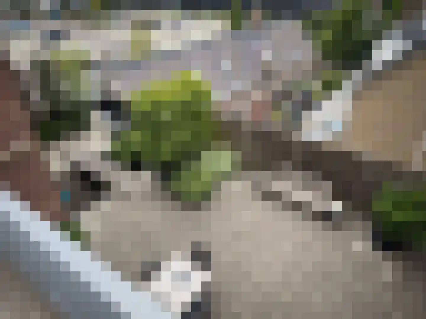 Gasthuisring 23 Tilburg thumbnail 21