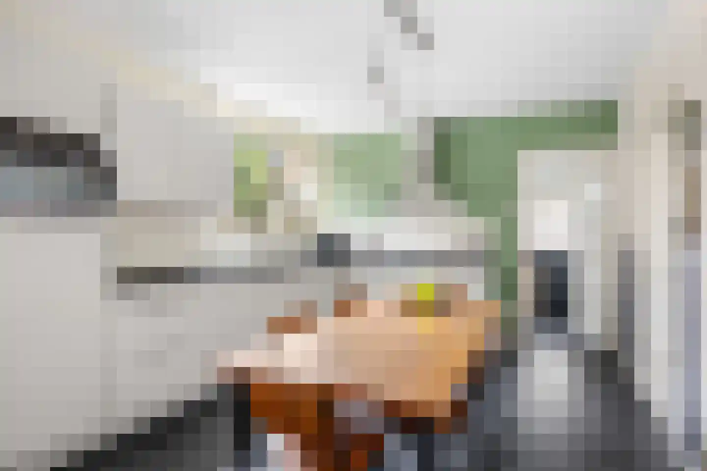 Gasthuissingel 35 Bolsward thumbnail 13