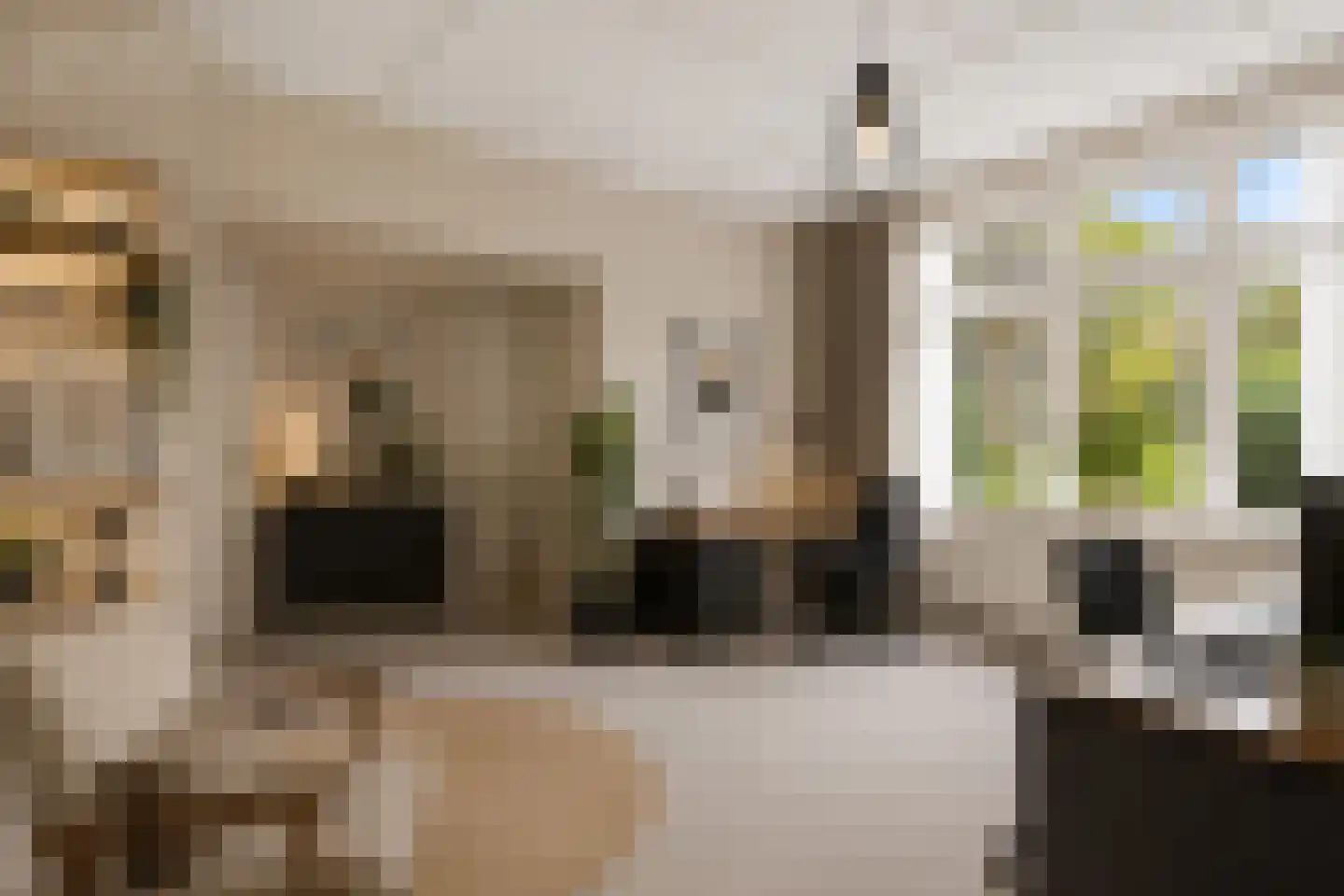 Gasthuissingel 35 Bolsward thumbnail 17