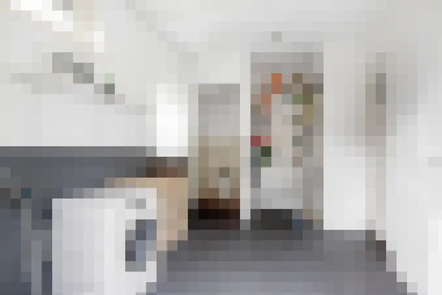 Gasthuissingel 35 Bolsward thumbnail 24