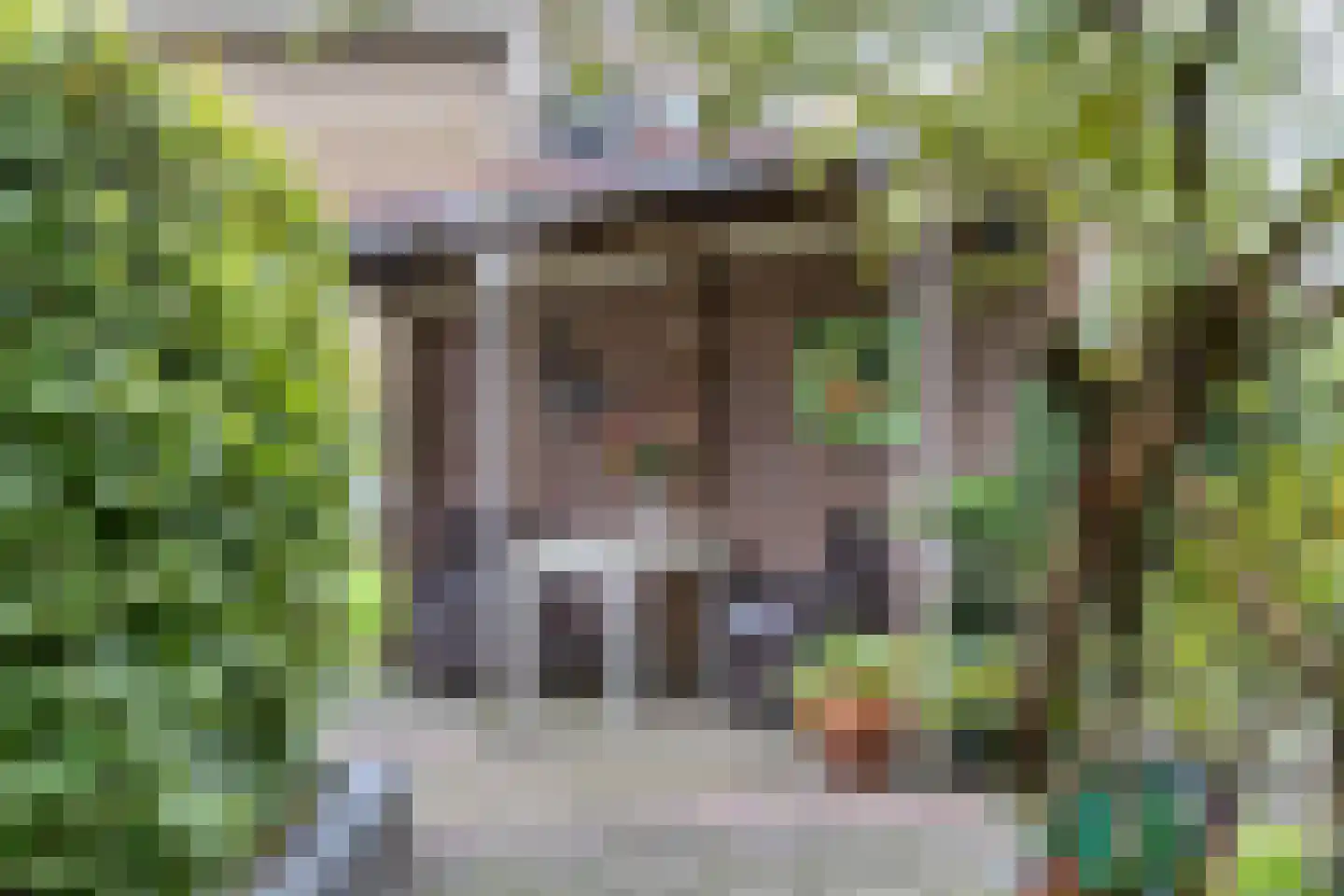 Gasthuissingel 35 Bolsward thumbnail 47
