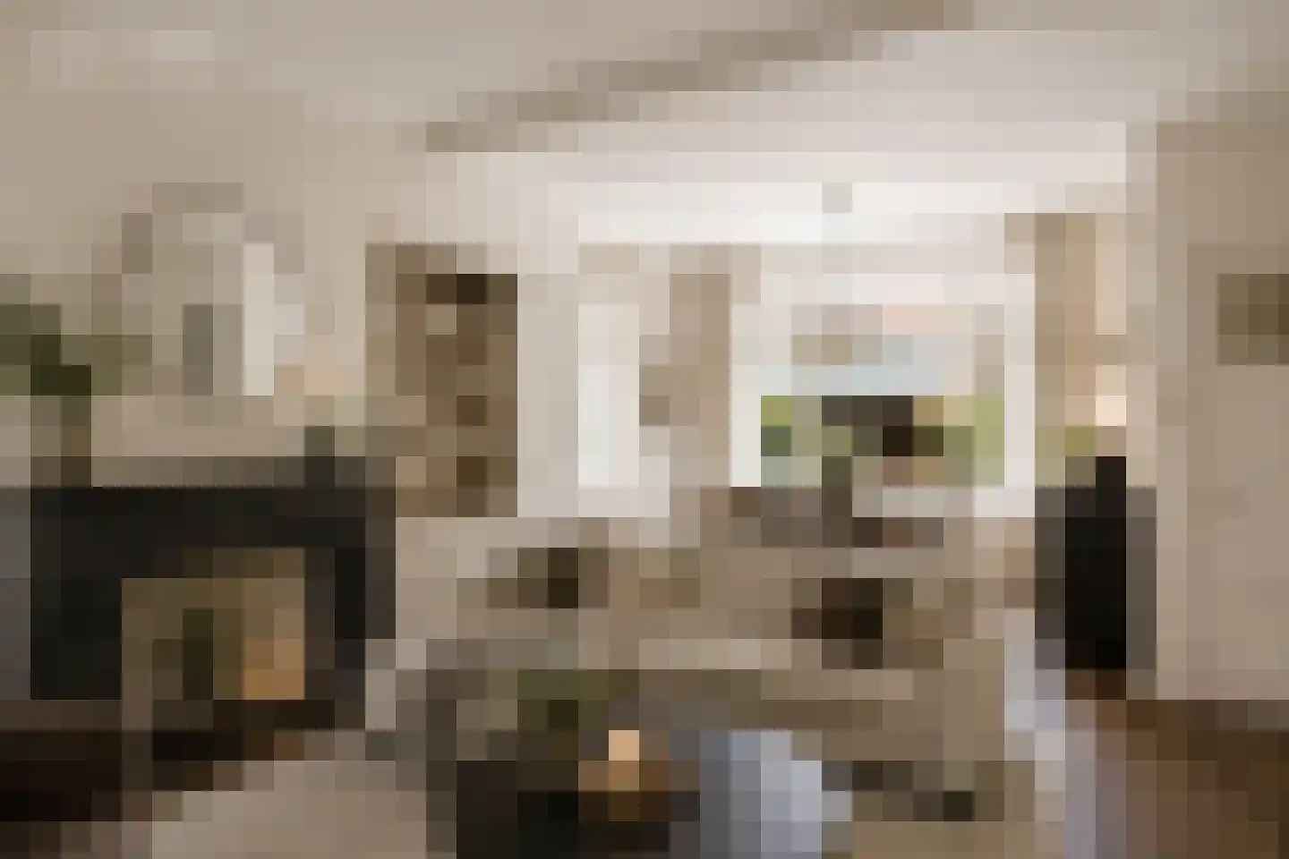 Gasthuissingel 35 Bolsward thumbnail 7