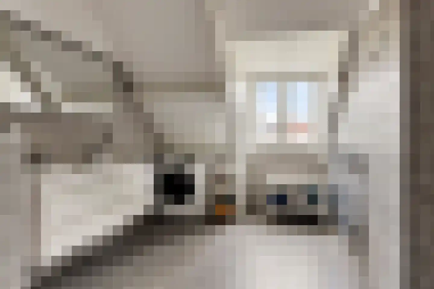 Gasthuissingel 38 A Haarlem thumbnail 39