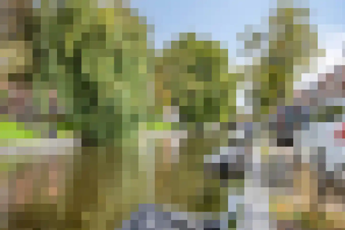 Gasthuissingel 38 A Haarlem thumbnail 45