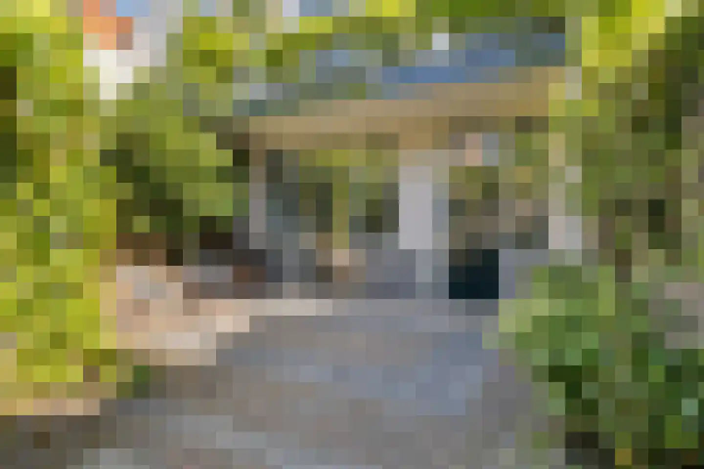 Gasthuissingel 44 Haarlem thumbnail 26