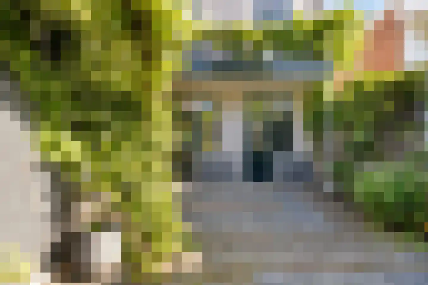 Gasthuissingel 44 Haarlem thumbnail 29