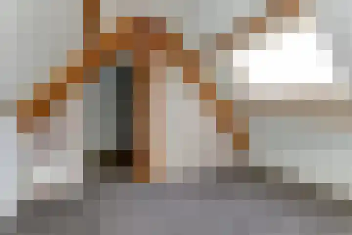 Gasthuisstraat 1 Vollenhove thumbnail 20