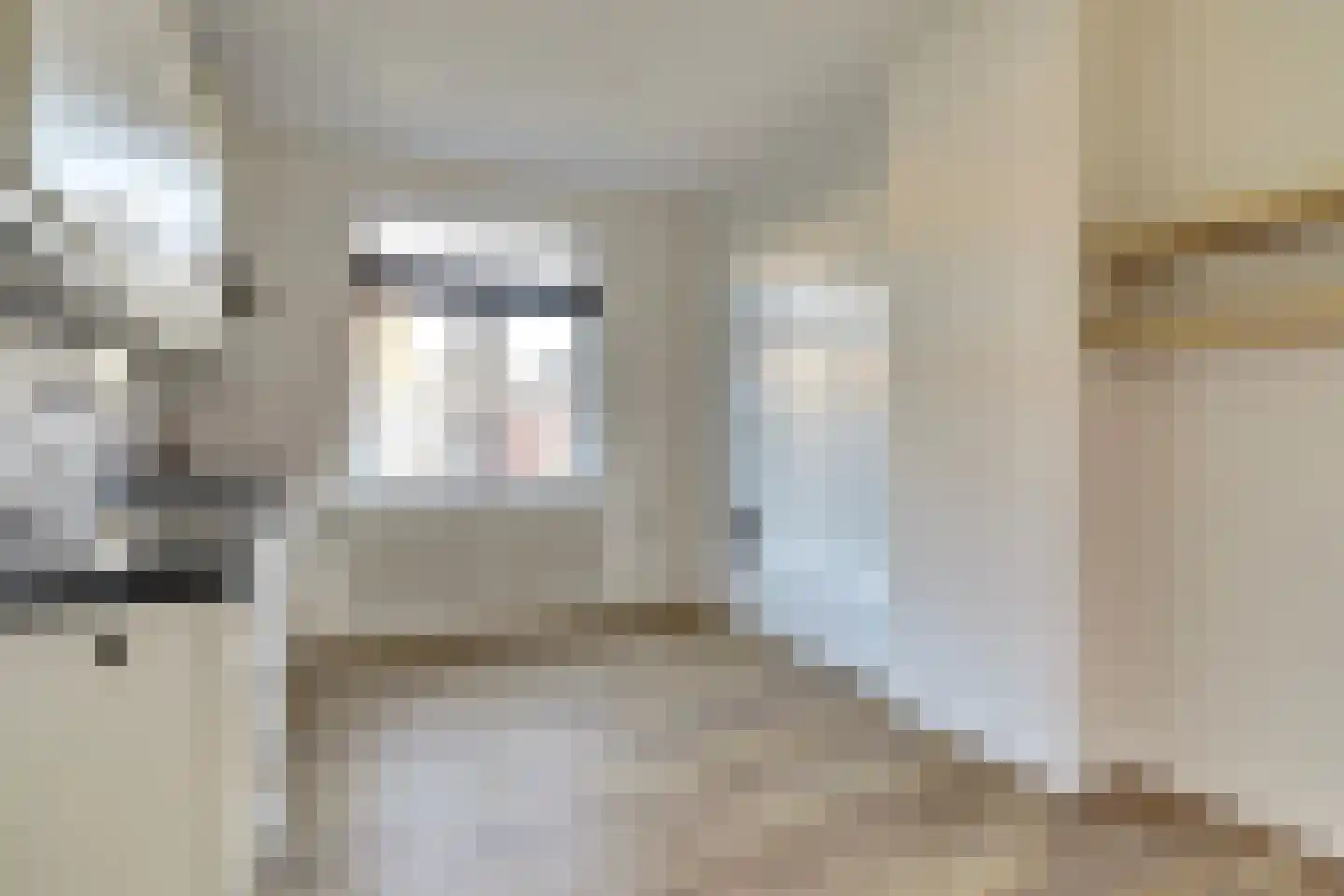 Gasthuisstraat 10 Tiel thumbnail 11