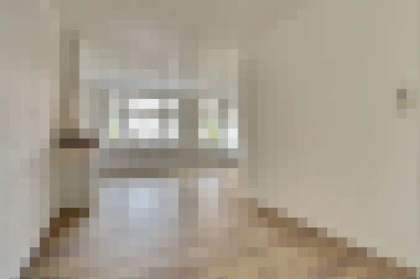 Gasthuisstraat 10 Tiel thumbnail 14