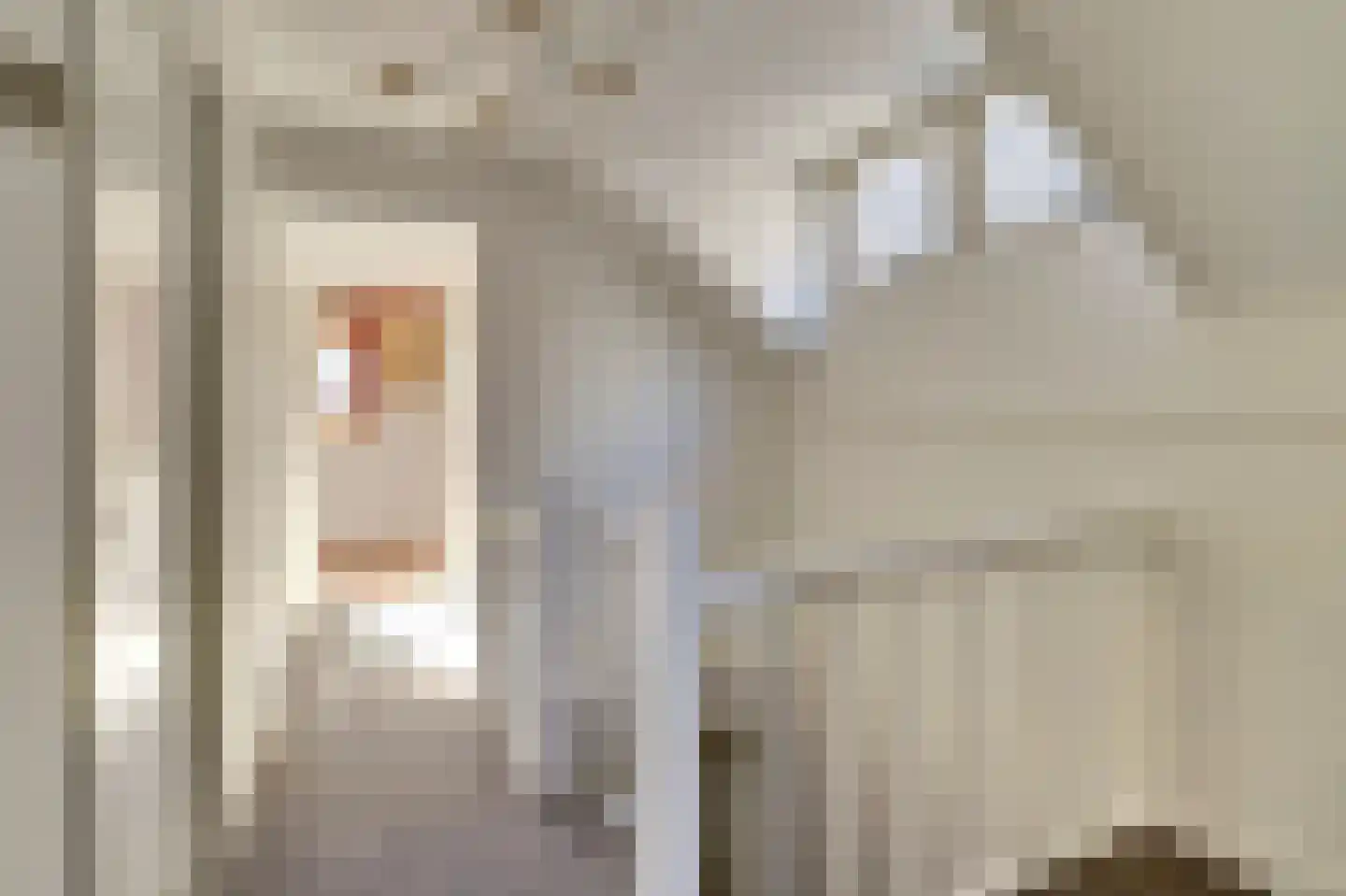 Gasthuisstraat 10 Tiel thumbnail 21