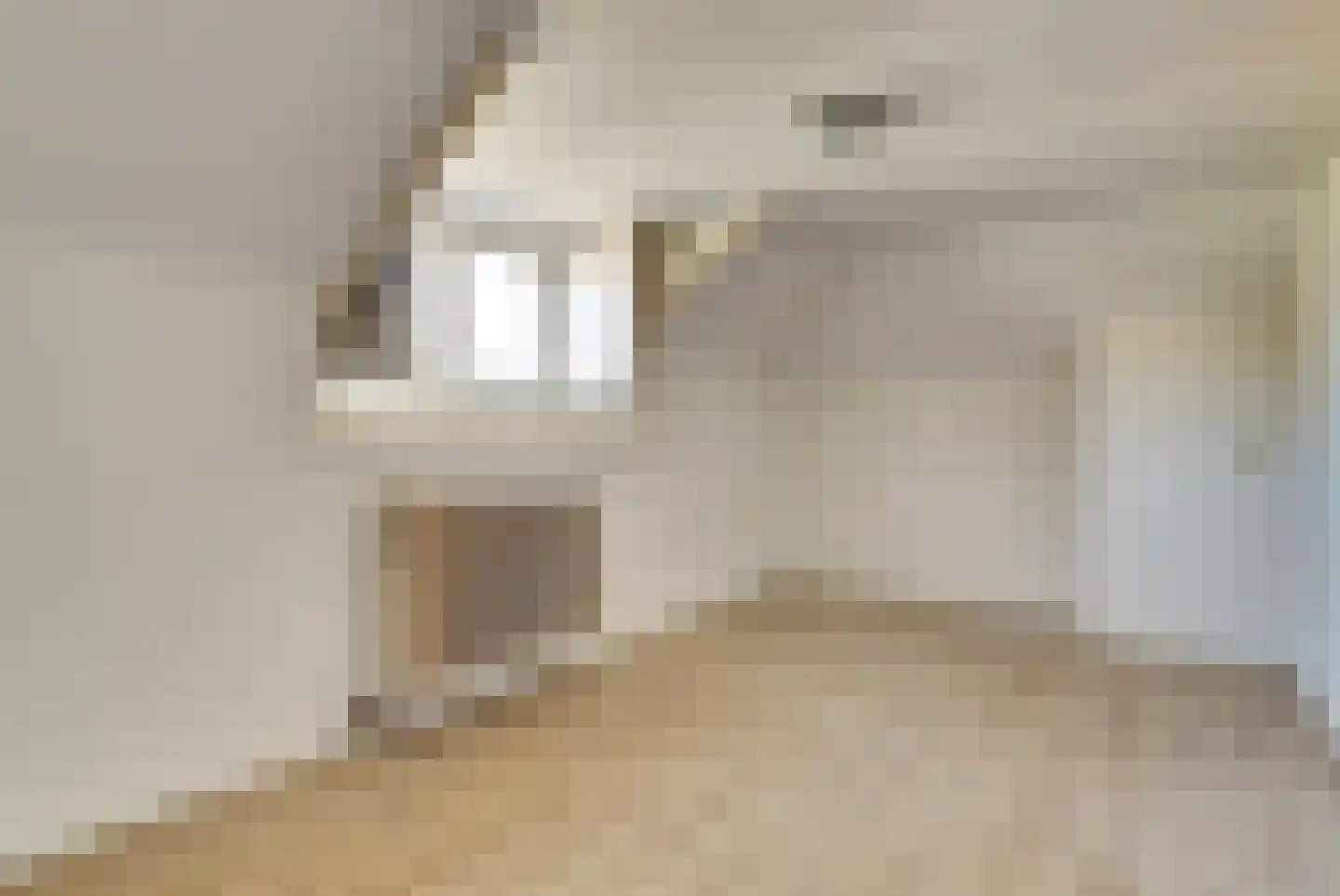 Gasthuisstraat 10 Tiel thumbnail 28