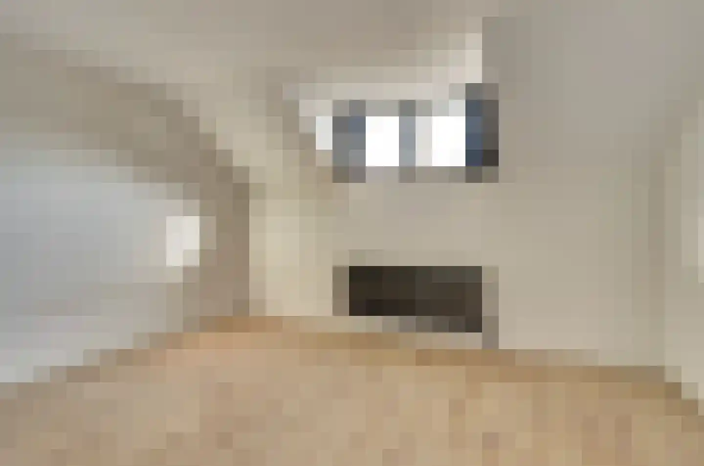 Gasthuisstraat 10 Tiel thumbnail 30