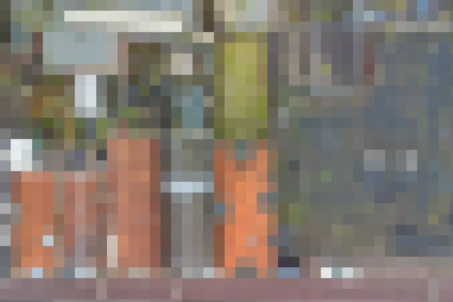 Gasthuisstraat 10 Tiel thumbnail 4