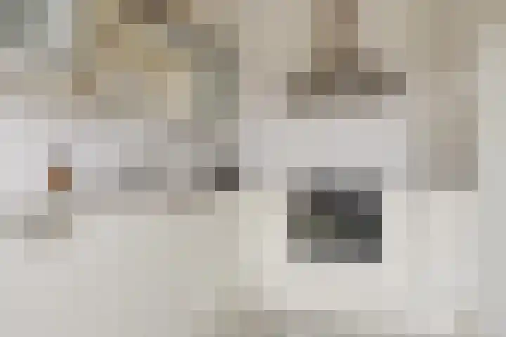 Gasthuisstraat 11 Wijk aan Zee thumbnail 16