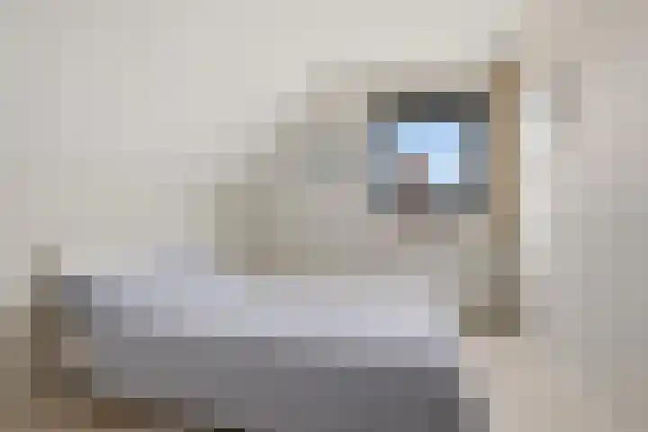 Gasthuisstraat 11 Wijk aan Zee thumbnail 20