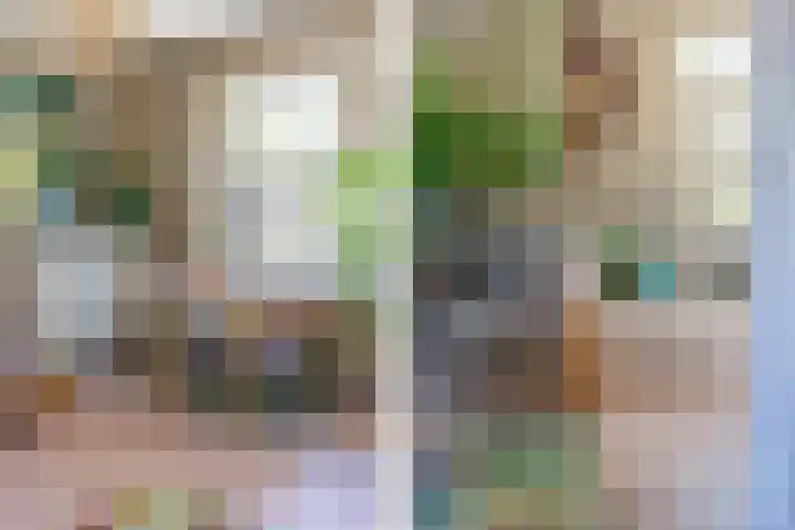Gasthuisstraat 12 Wijk aan Zee thumbnail 38