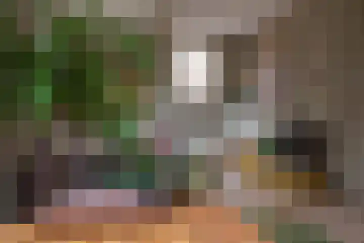 Gasthuisstraat 12 Wijk aan Zee thumbnail 42