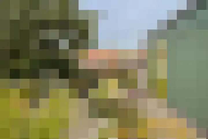 Gasthuisstraat 12 Wijk aan Zee thumbnail 58