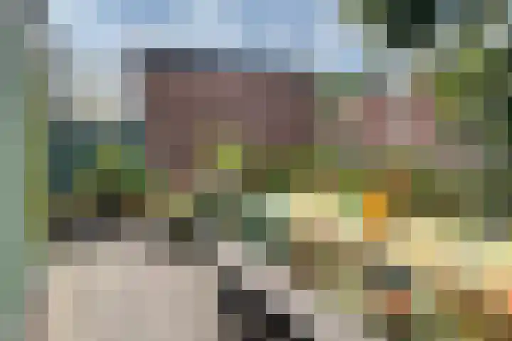 Gasthuisstraat 12 Wijk aan Zee thumbnail 60