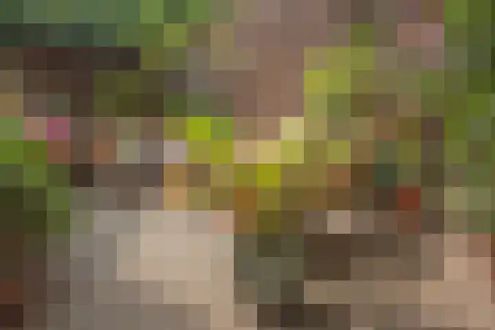 Gasthuisstraat 12 Wijk aan Zee thumbnail 63