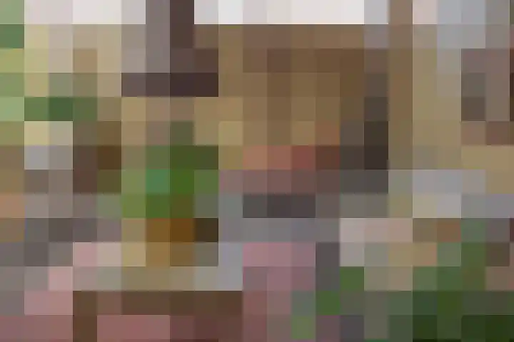 Gasthuisstraat 12 Wijk aan Zee thumbnail 66