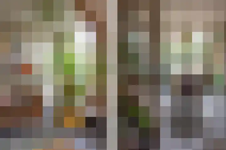 Gasthuisstraat 12 Wijk aan Zee thumbnail 9