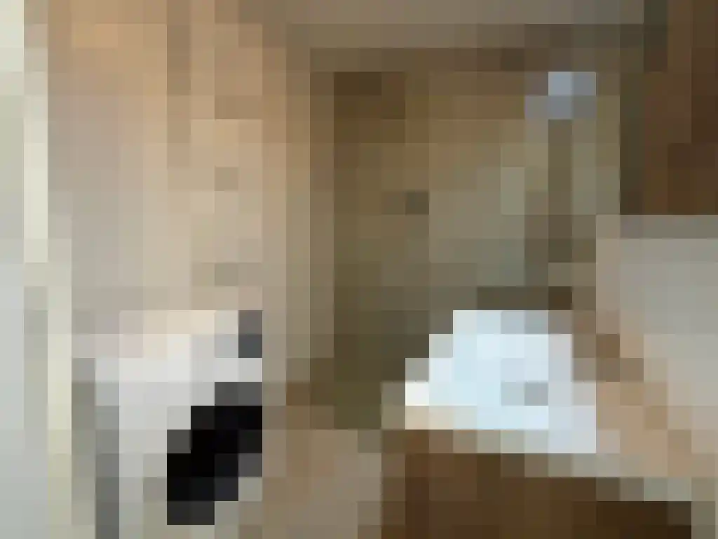 Gasthuisstraat 138 Utrecht thumbnail 21