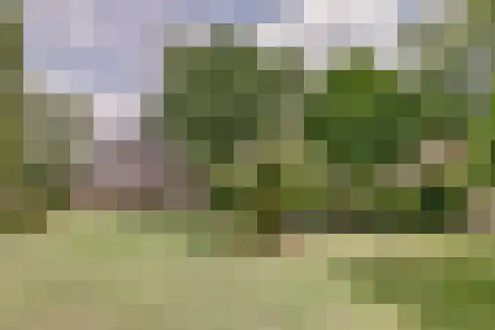 Gasthuisstraat 148 Dongen thumbnail 33
