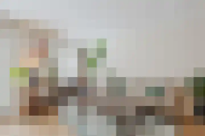 Gasthuisstraat 15 Grave thumbnail 14
