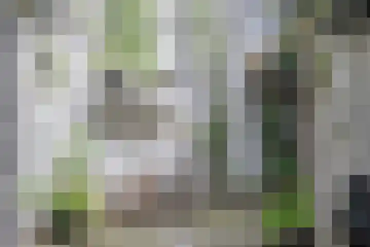 Gasthuisstraat 15 Grave thumbnail 9