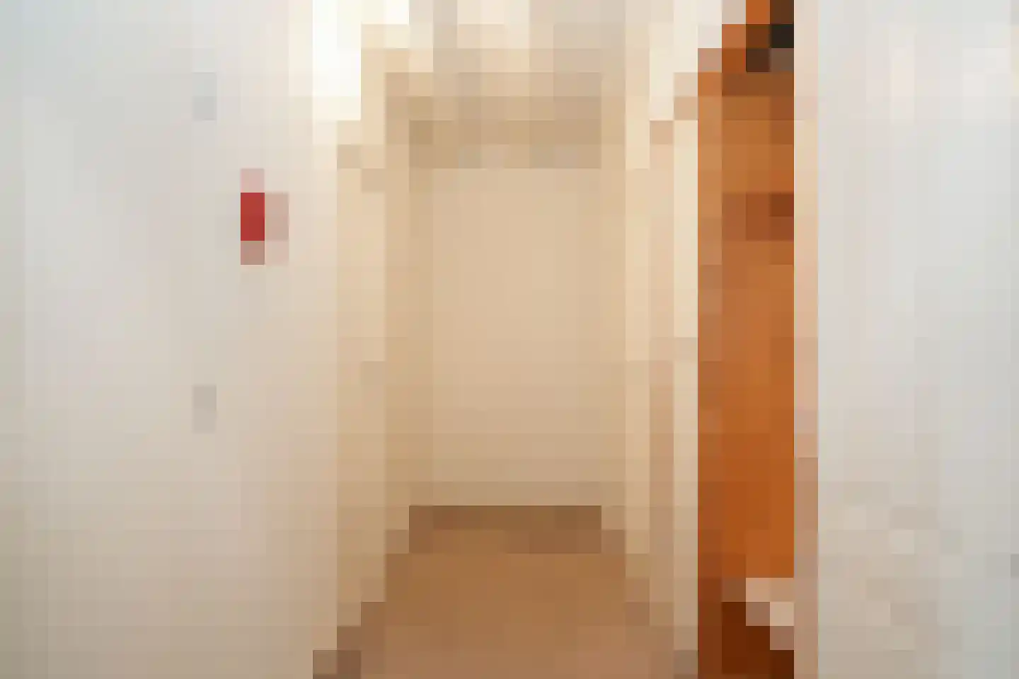 Gasthuisstraat 15 Tiel thumbnail 25