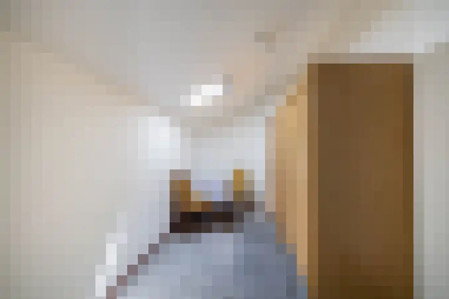 Gasthuisstraat 152 Tegelen thumbnail 22