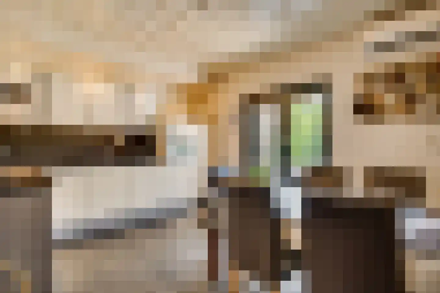 Gasthuisstraat 157 Meerssen thumbnail 4