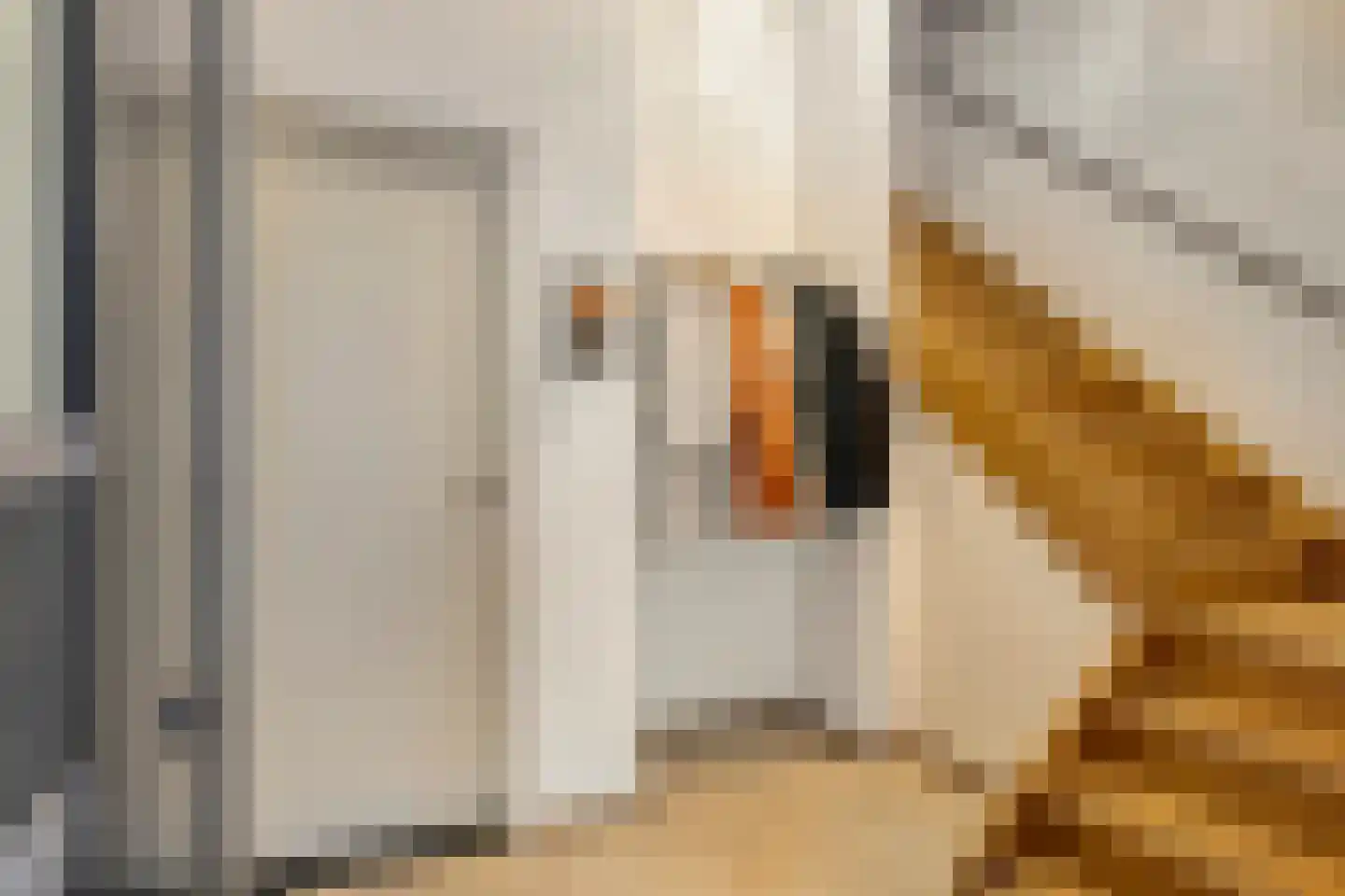Gasthuisstraat 161 Meerssen thumbnail 11