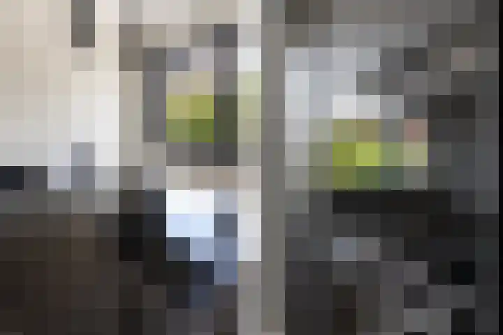 Gasthuisstraat 17 Almere thumbnail 20