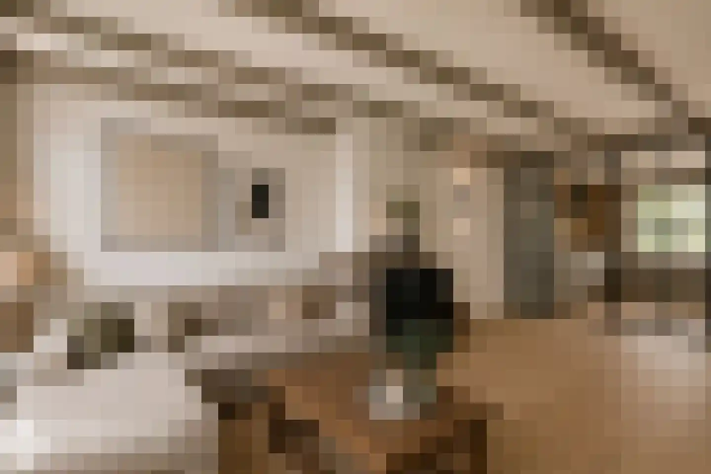 Gasthuisstraat 17 Heukelum thumbnail 4